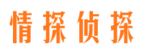 宾阳市调查公司